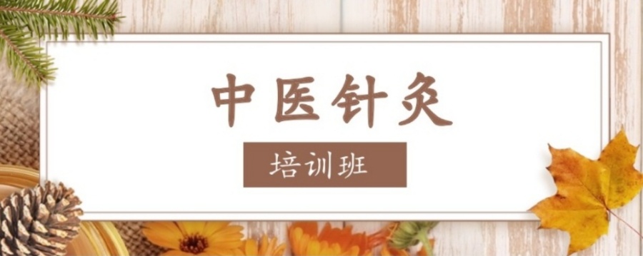 中医康复理疗技能培训机构 中医康复理疗技能培训机构