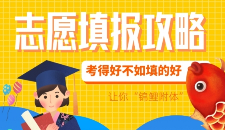 高考志愿填报指导机构，志愿选择，专业填报，高考志愿规划