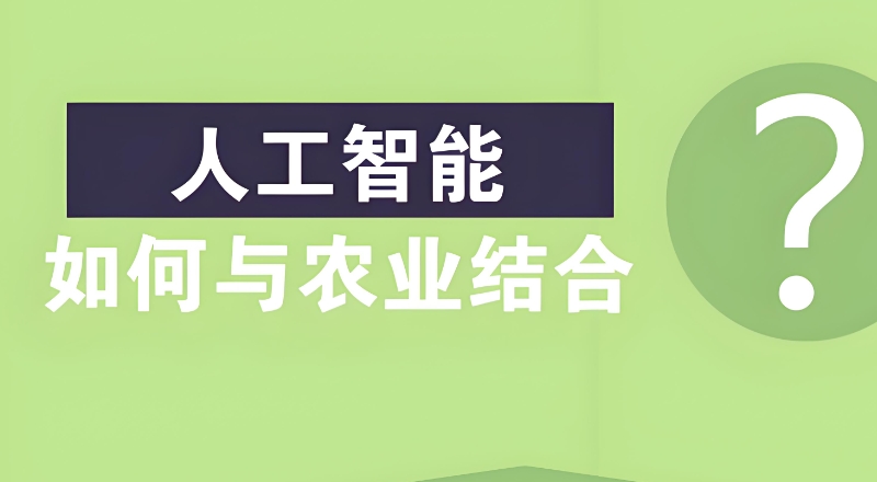 人工智能培训 人工智能培训