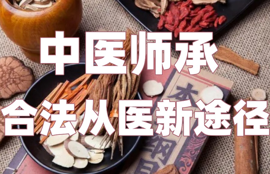 中医师承培训学校