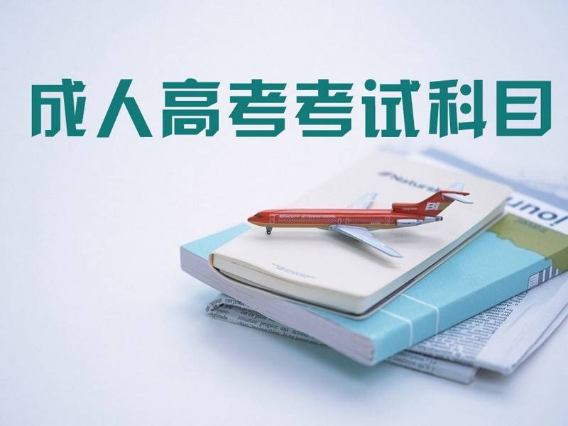 2025高起专各科答题技巧
