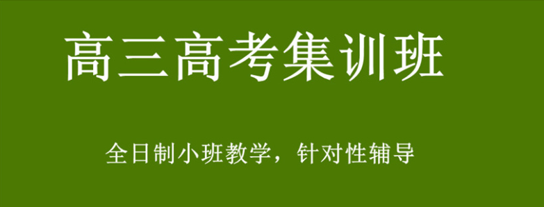 高三高考全日制集训学校