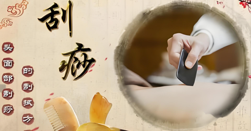 中医培训 中医培训