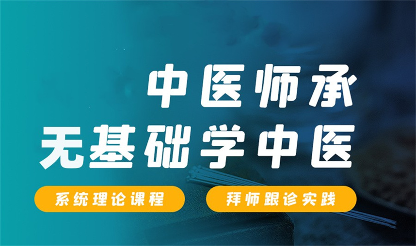 2026国内中医师承培训机构排名top10榜单一览