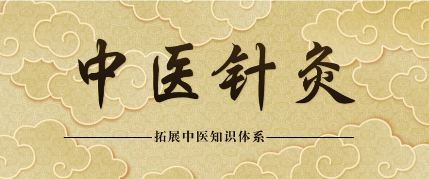 普通人怎么学中医?2026成人中医技能培训机构前十家排名来了.jpg