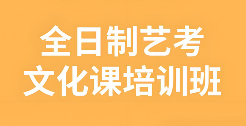 艺考文化课集训