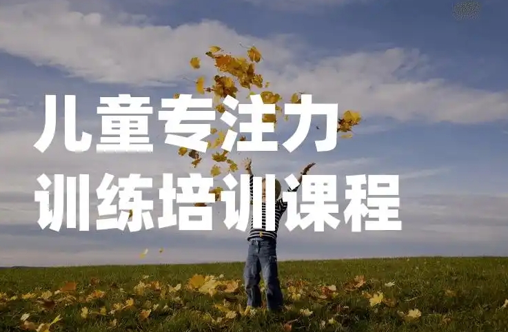 问题儿童教育机构,特殊教育学校,儿童专注力缺陷,专注力康复
