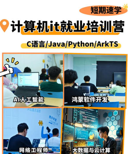 IT培训机构，IT技能学习，UI设计师，后端开发工程师培训