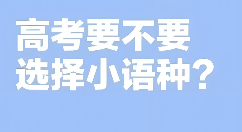 高考小语种
