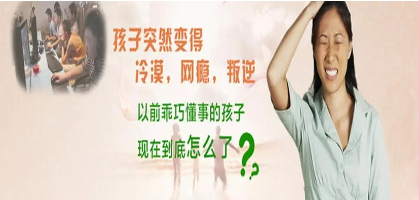 广东口碑不错的港澳台联考集训学校10大名单简介 广东口碑不错的港澳台联考集训学校10大名单简介