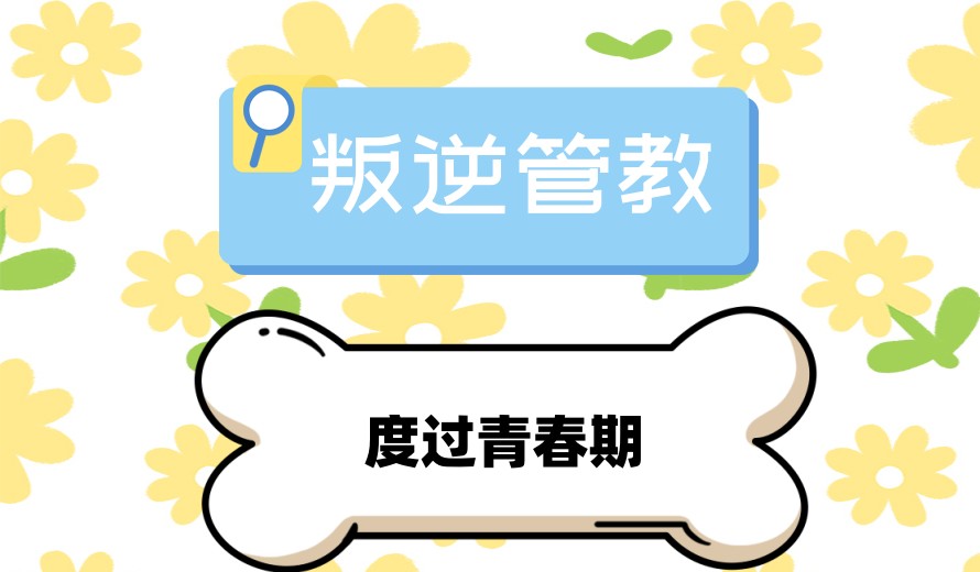 汇总2025广东排名好的十大叛逆青少年教育学校口碑名单.jpg 汇总2025广东排名好的十大叛逆青少年教育学校口碑名单.jpg