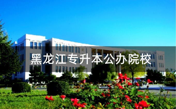 黑龙江统招专升本可报考的公办院校