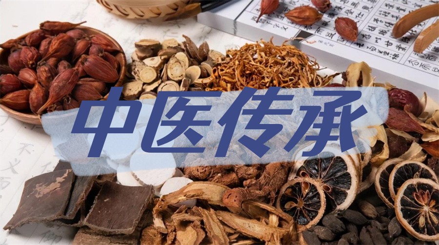 中医师承培训机构