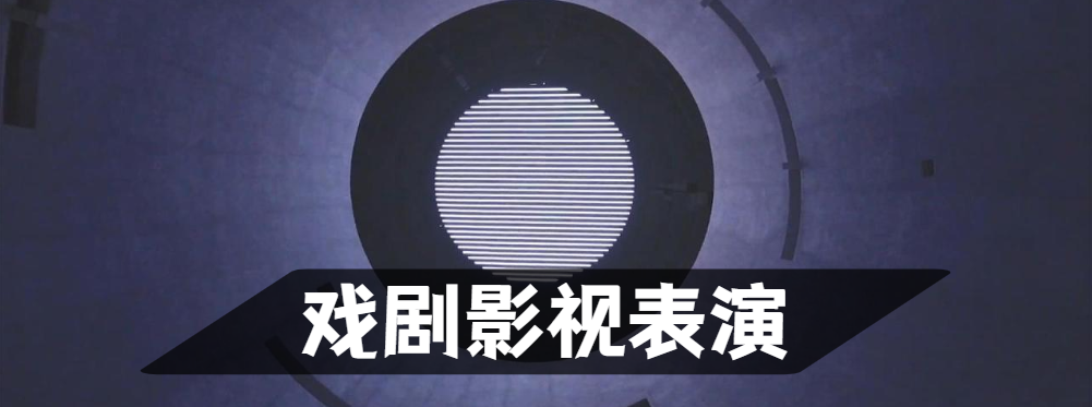 广州戏剧影视（表）导演艺考集训机构10大排名详解