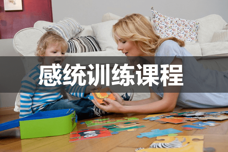 上海地区top5大自闭症儿童感统训练机构排名榜