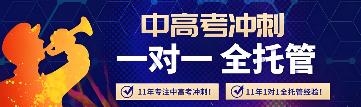 高考辅导机构，高三冲刺复习，高考一对一复习，高考复习规划