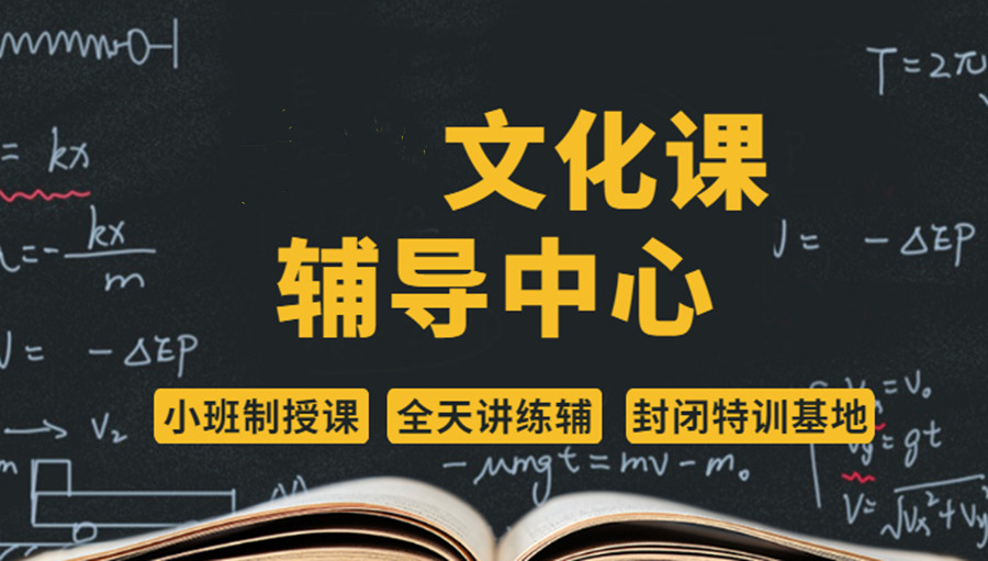 武汉艺考生文化课培训学校哪家好 武汉艺考生文化课培训学校哪家好