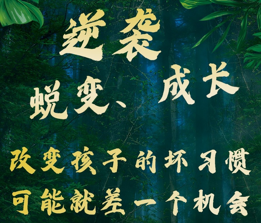 河北封闭式叛逆管教学校