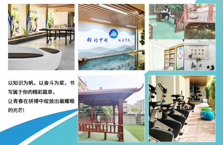 艺考文化课集训 艺考文化课集训