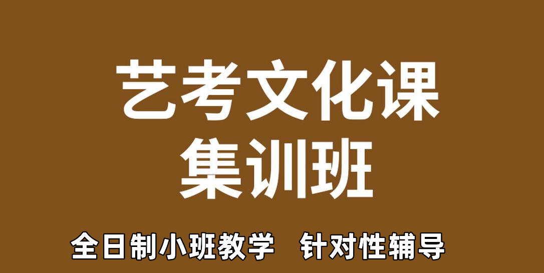 艺考文化课冲刺 艺考文化课冲刺