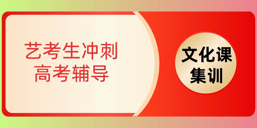 合肥艺考生冲刺高考辅导哪些机构值得考虑