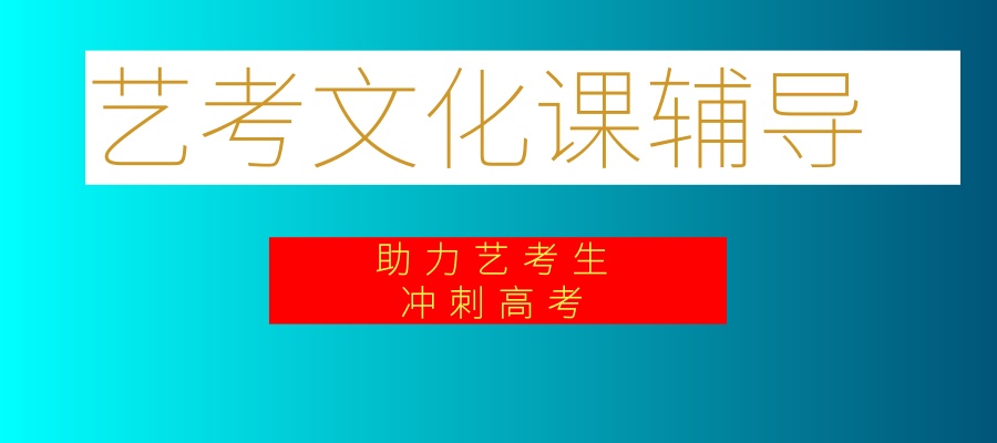 合肥艺考生冲刺高考辅导机构