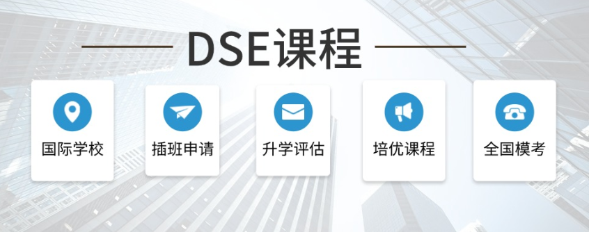 dse辅导机构