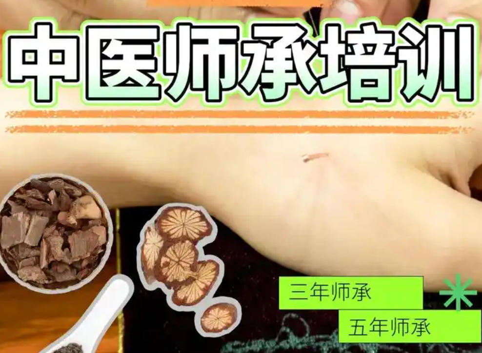 中医师承培训机构 中医师承培训机构