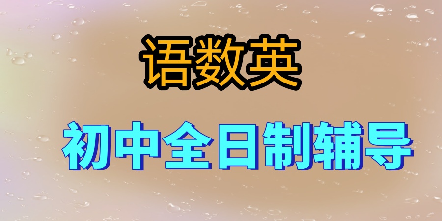 语数英初中全日制辅导班