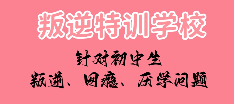 叛逆特训学校 叛逆特训学校