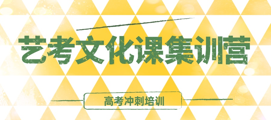 合肥艺考文化课高考冲刺培训班 合肥艺考文化课高考冲刺培训班