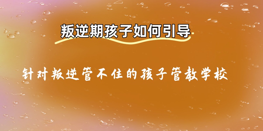 叛逆军事化特训学校 叛逆军事化特训学校