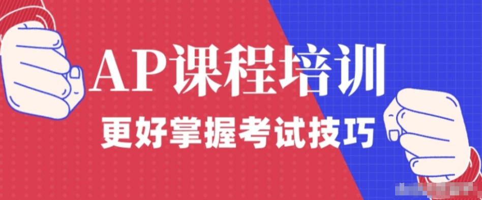 AP1v1课程培训机构