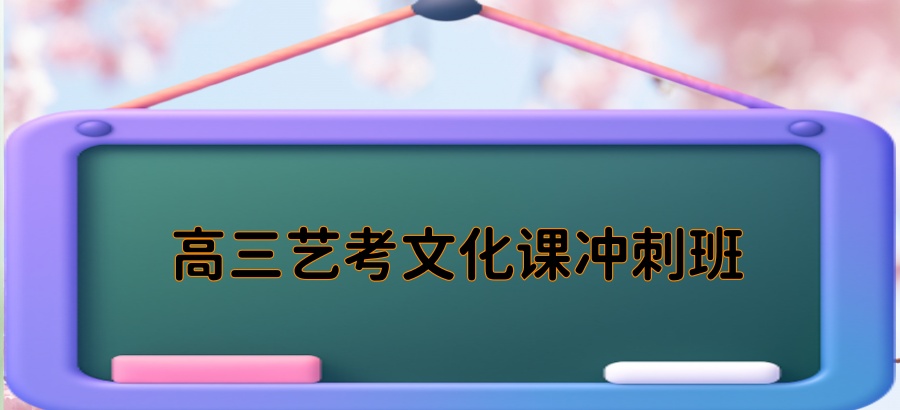 高三艺考文化课冲刺班