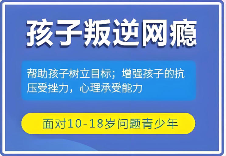 十大手机瘾网瘾戒除学校