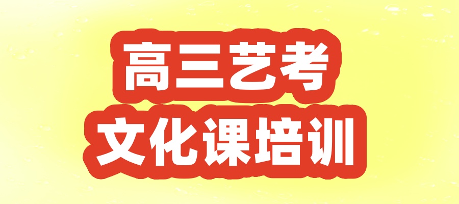 天津艺术生文化课冲刺班哪家好
