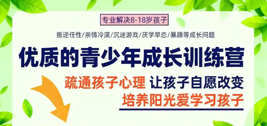 国内十大正规叛逆学校 国内十大正规叛逆学校