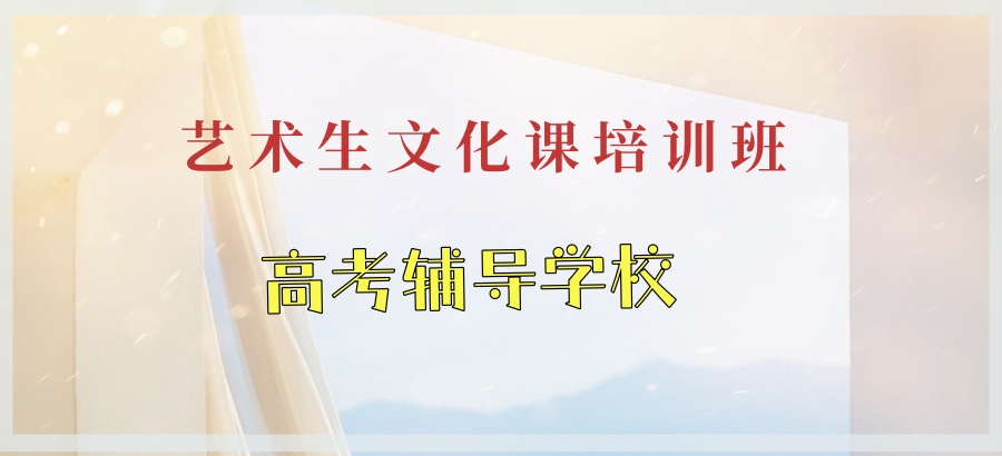 合肥艺术生文化课高考辅导学校