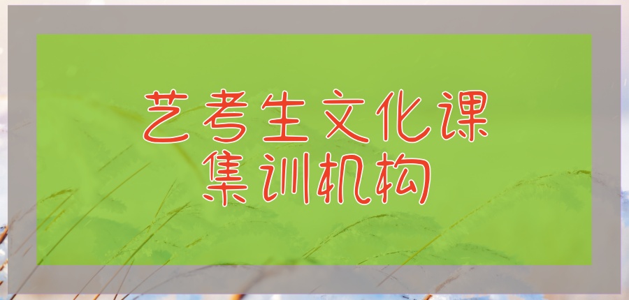 艺考生文化课集训机构 艺考生文化课集训机构