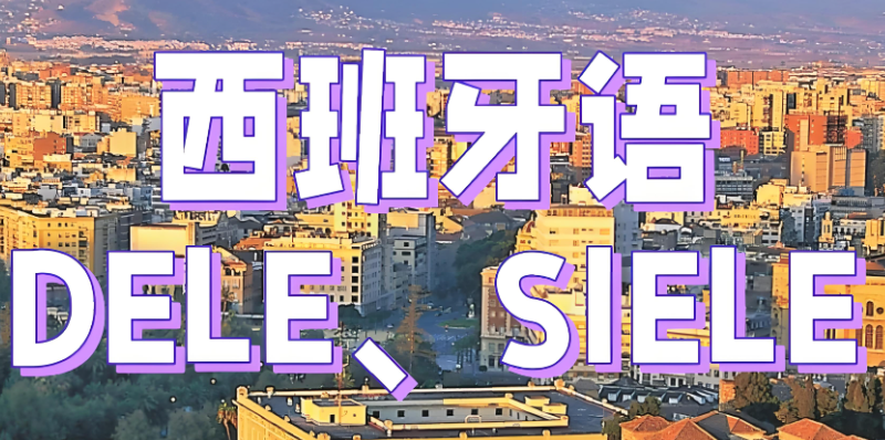 西班牙语考试 西班牙语考试