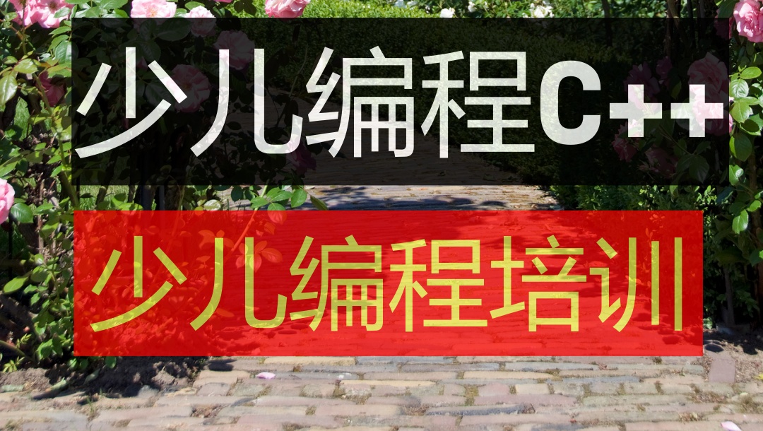 青少年编程学python和c++培训学校