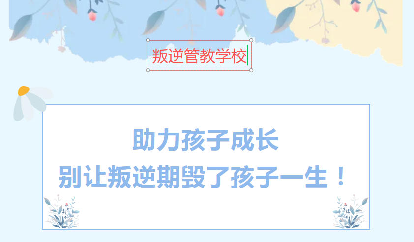叛逆封闭特训学校收费一般多少钱? 叛逆封闭特训学校收费一般多少钱?