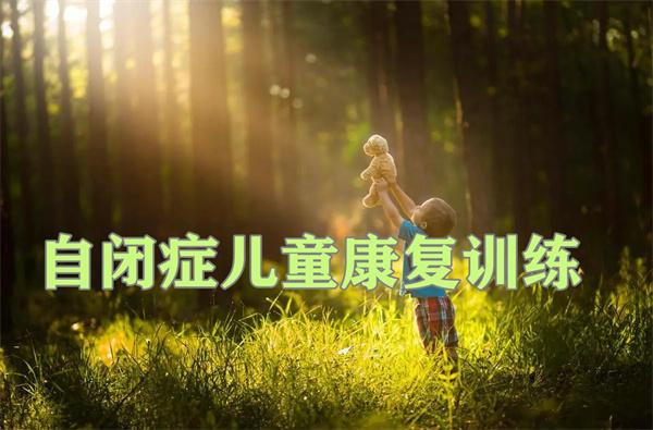 自闭症干预中心十大排名榜