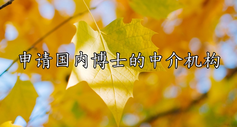 博士申请中介机构 博士申请中介机构