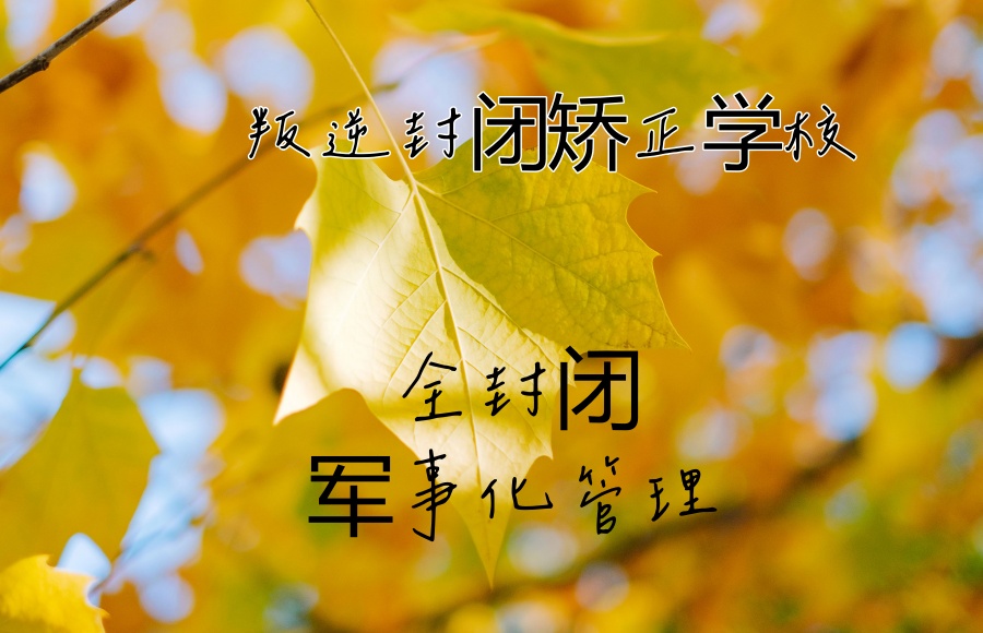 汇总|热门的五家叛逆封闭矫正学校名单公布