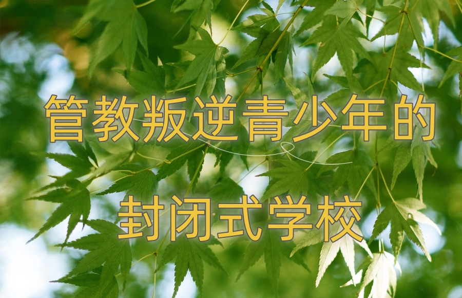 南宁管教叛逆青少年的封闭式学校排名前十更新公布 南宁管教叛逆青少年的封闭式学校排名前十更新公布