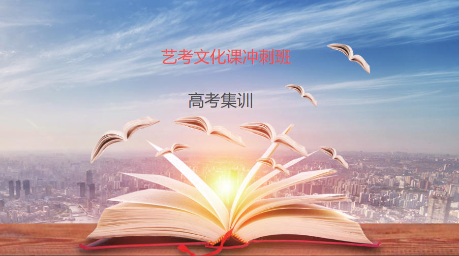 艺考文化课冲刺班 艺考文化课冲刺班