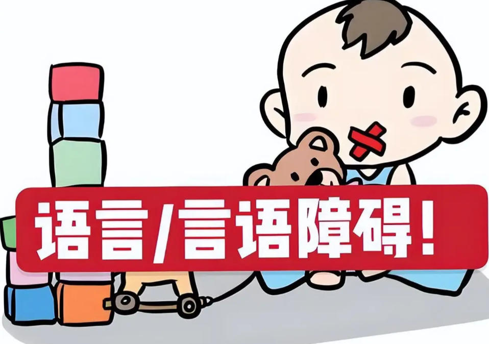 湖州儿童语言障碍康复训练机构 湖州儿童语言障碍康复训练机构