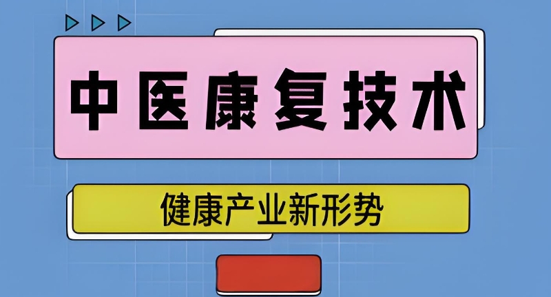 中医康复理疗 中医康复理疗