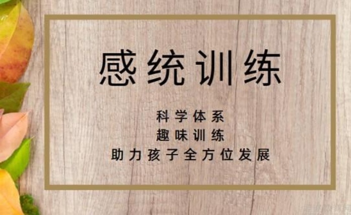 感统失调康复训练机构 感统失调康复训练机构